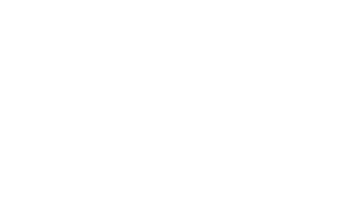 Holt Construction